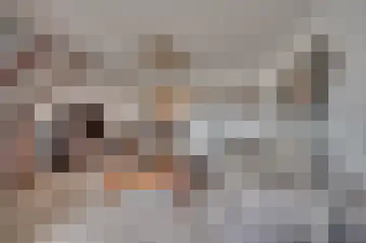 Hazenkamp 90 Reuver thumbnail 9