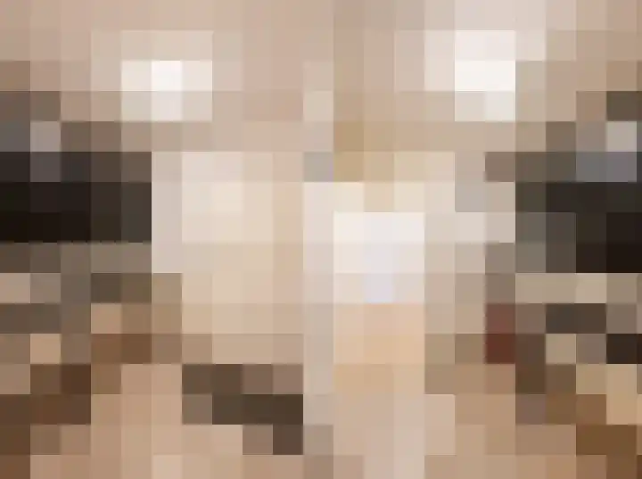 Hazenkamplaan 61 Oss thumbnail 10