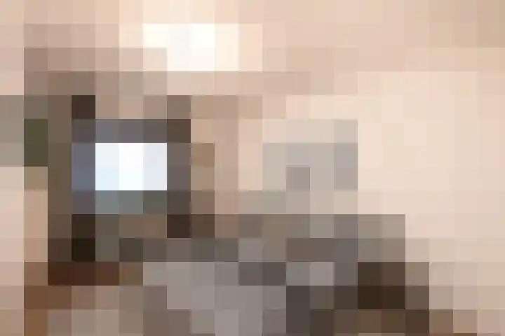Hazenkamplaan 61 Oss thumbnail 11