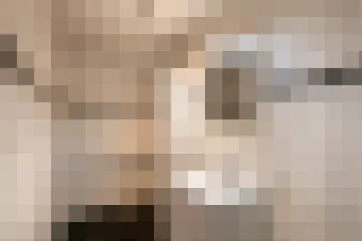 Hazenkamplaan 61 Oss thumbnail 12