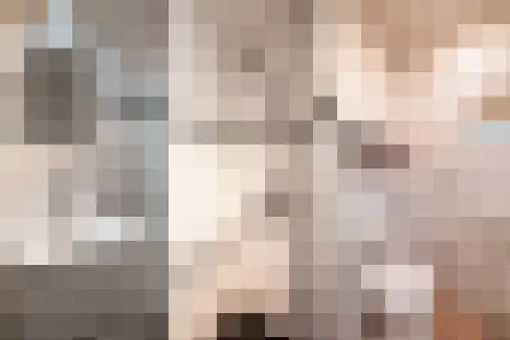 Hazenkamplaan 61 Oss thumbnail 13