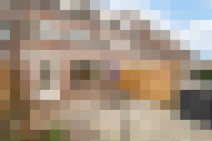 Hazenkamplaan 61 Oss thumbnail 14