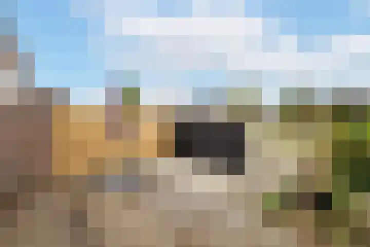 Hazenkamplaan 61 Oss thumbnail 15