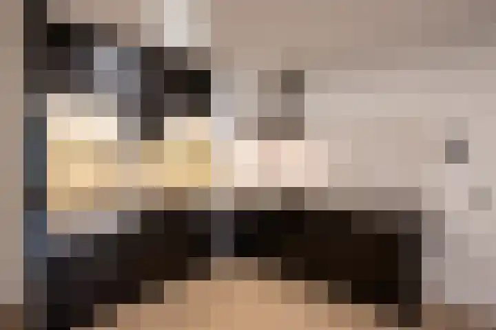 Hazenkamplaan 61 Oss thumbnail 9