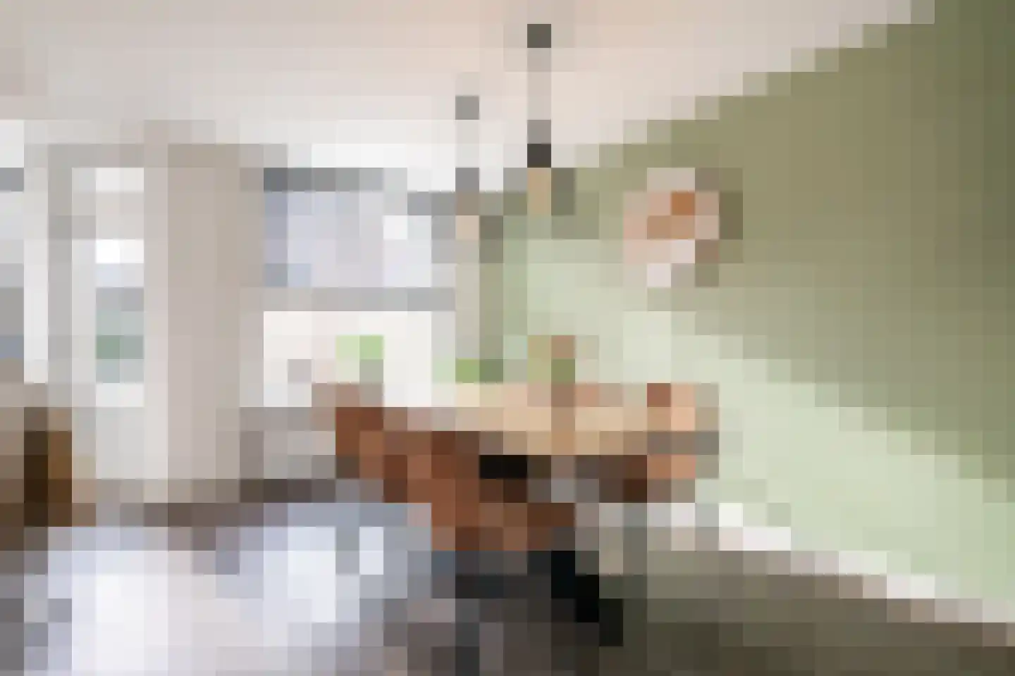 Hazenkamplaan 98 Oss thumbnail 10