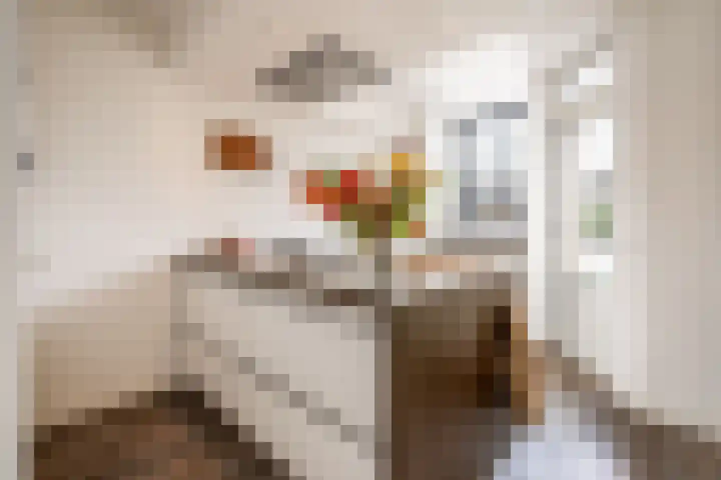 Hazenkamplaan 98 Oss thumbnail 12