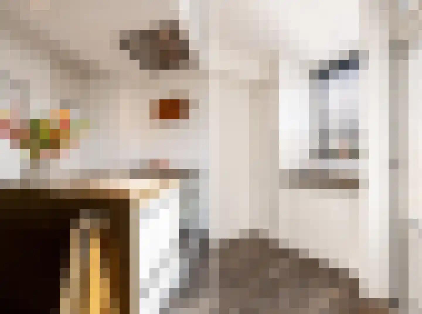 Hazenkamplaan 98 Oss thumbnail 13