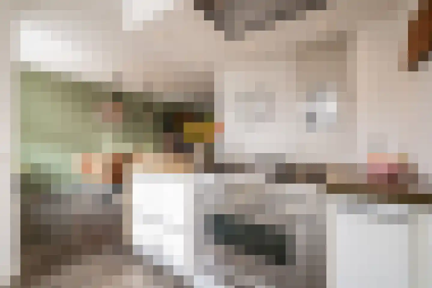 Hazenkamplaan 98 Oss thumbnail 14