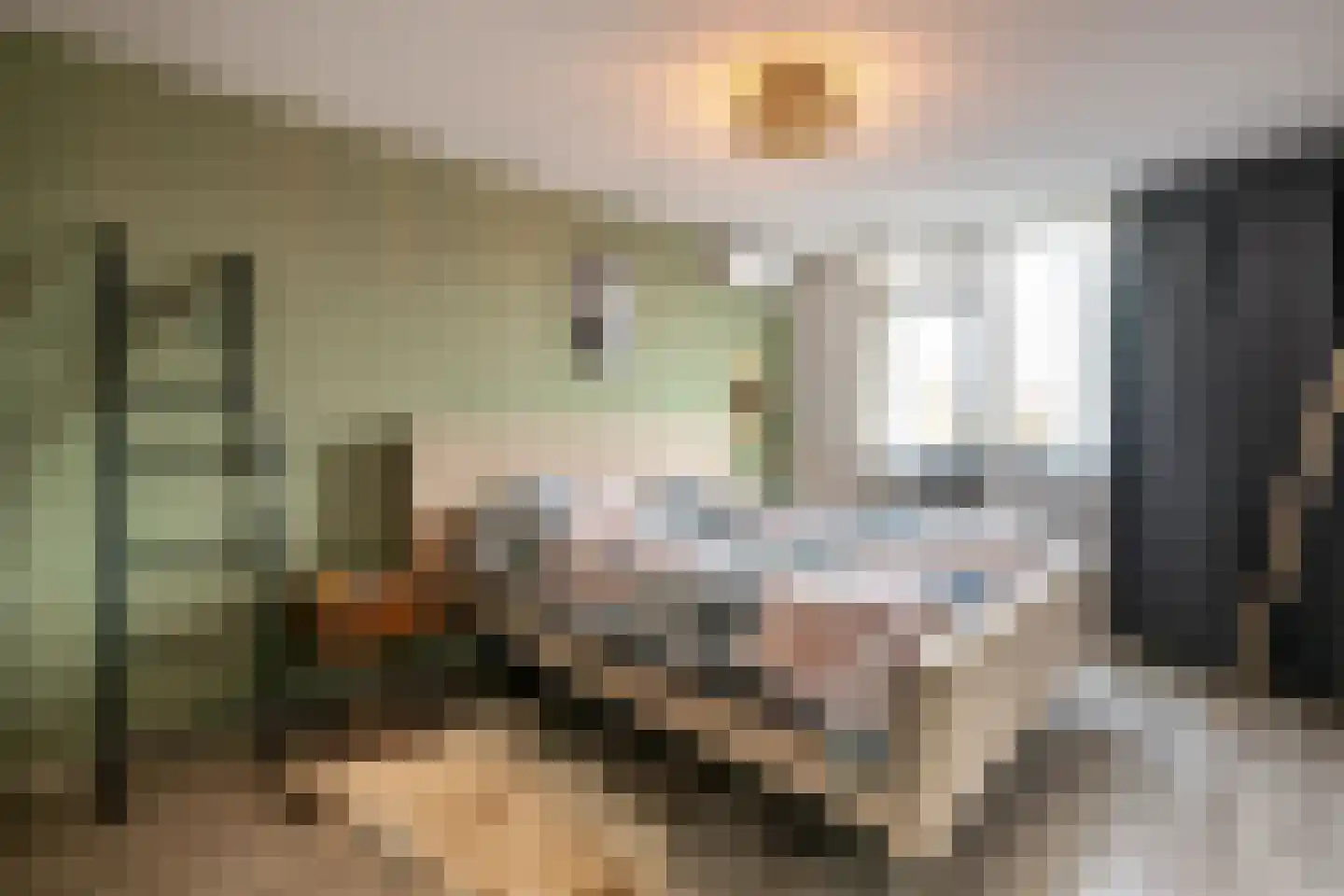 Hazenkamplaan 98 Oss thumbnail 15