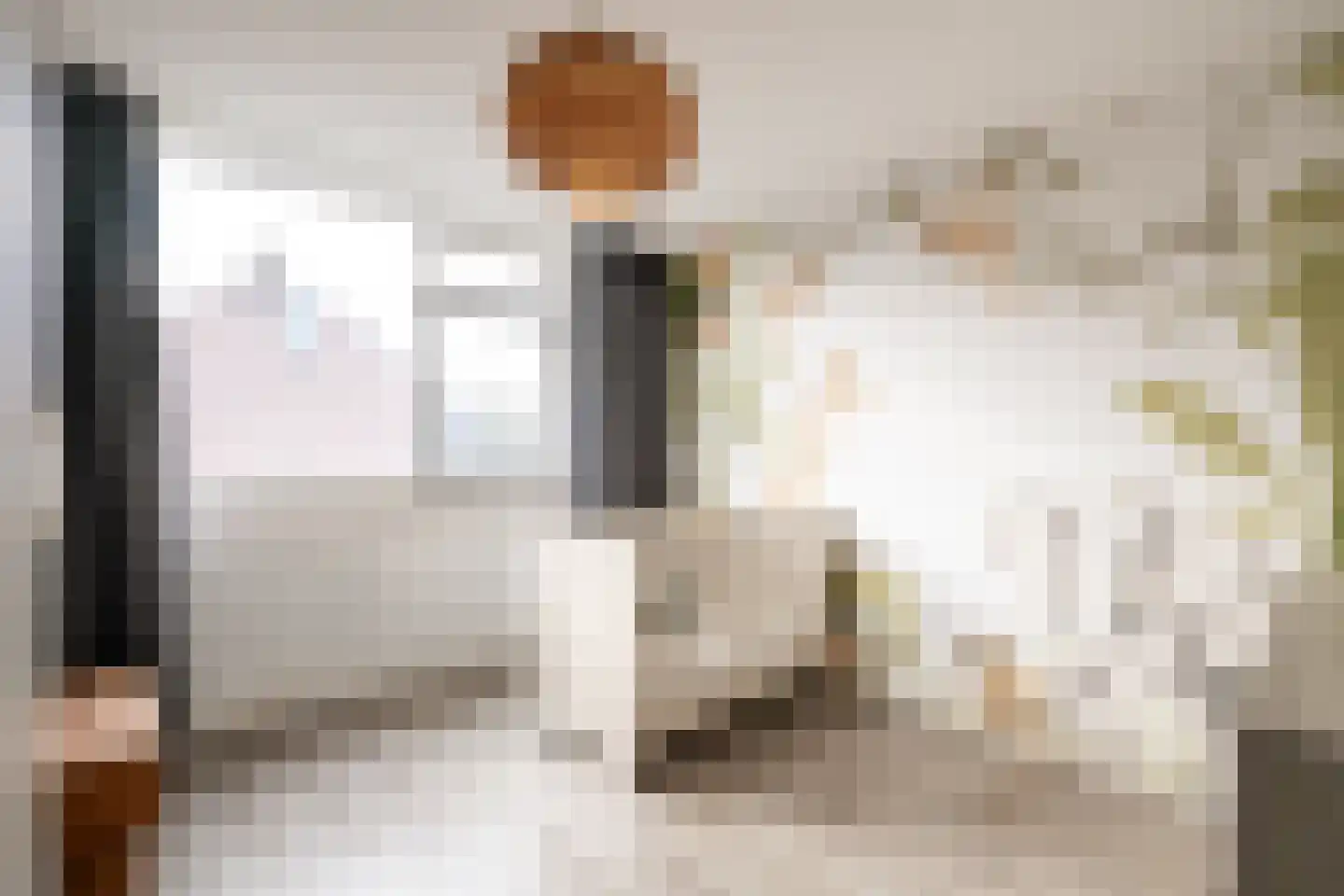 Hazenkamplaan 98 Oss thumbnail 16
