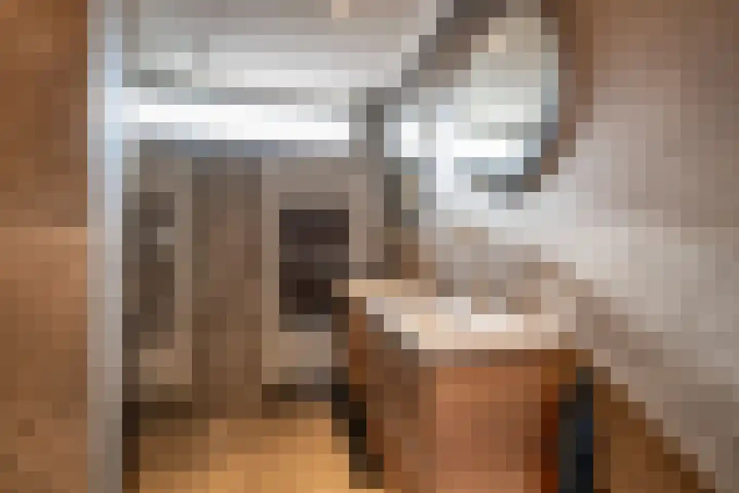 Hazenkamplaan 98 Oss thumbnail 19