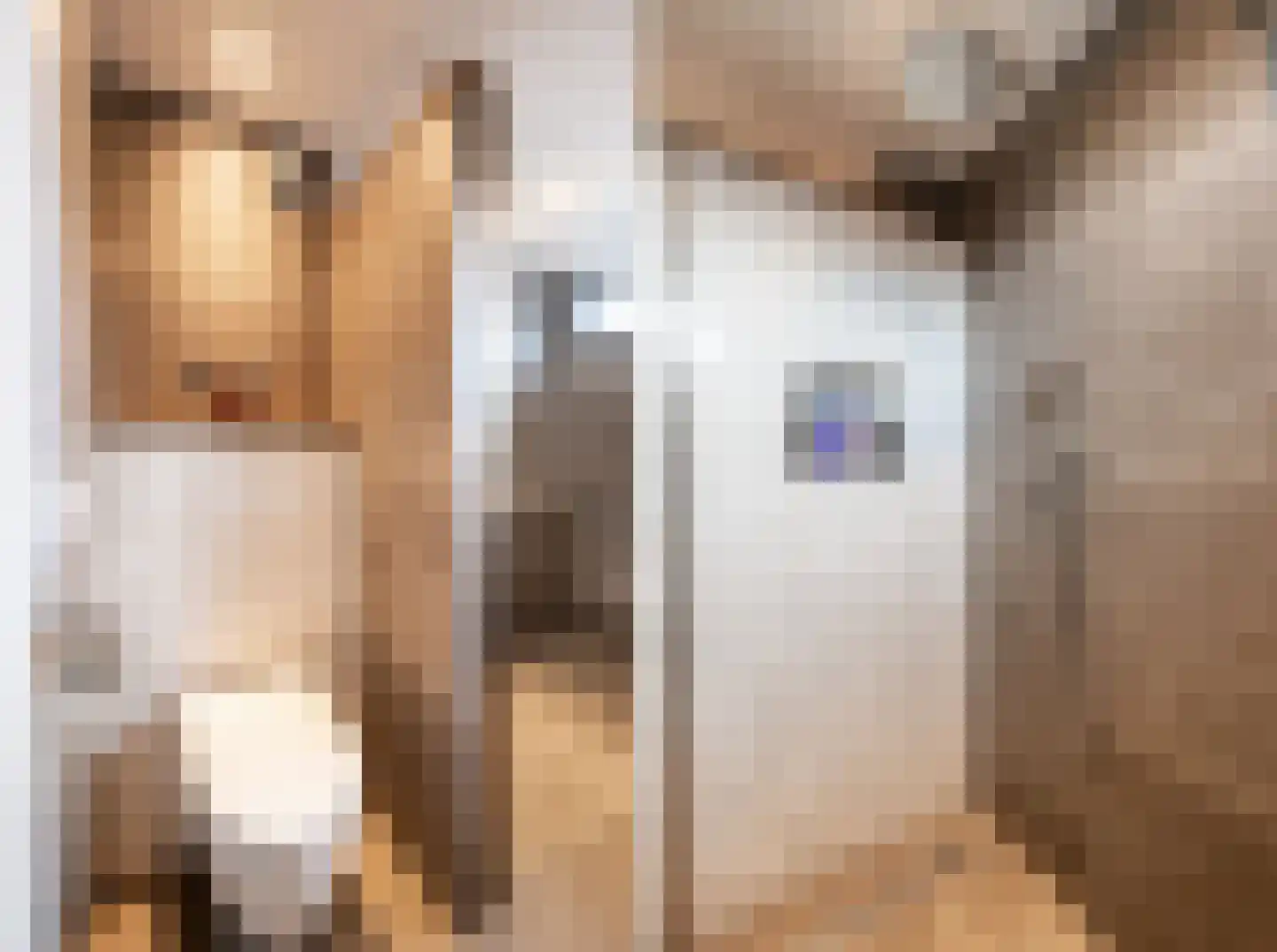 Hazenkamplaan 98 Oss thumbnail 20