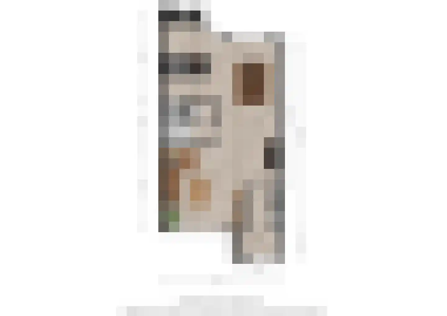Hazenkamplaan 98 Oss thumbnail 28