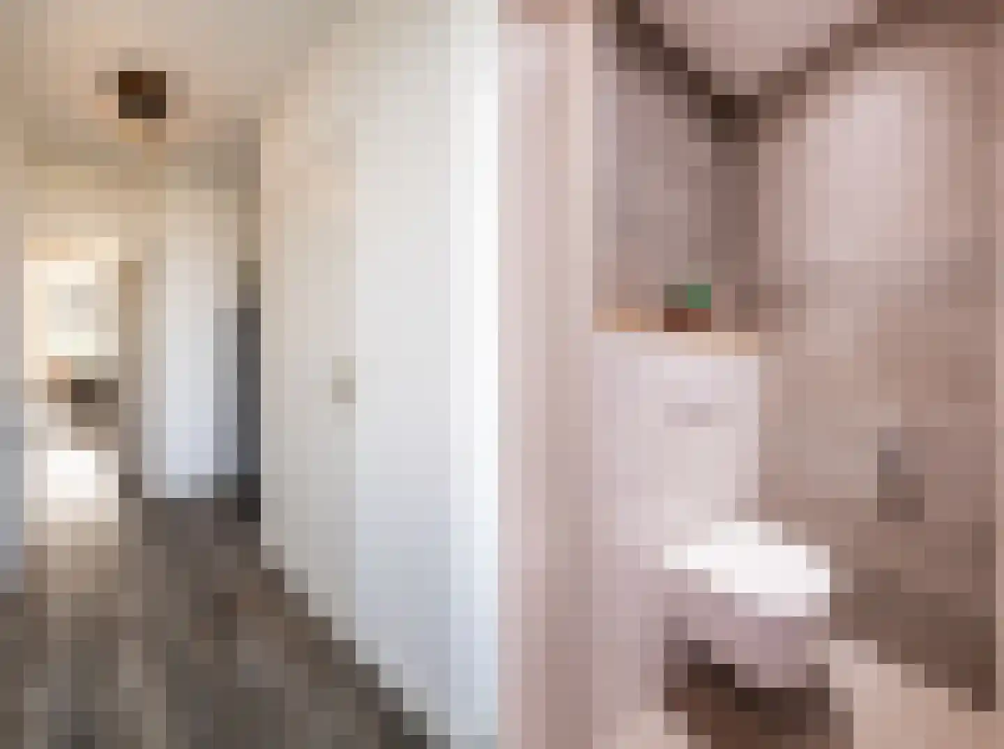 Hazenkamplaan 98 Oss thumbnail 6