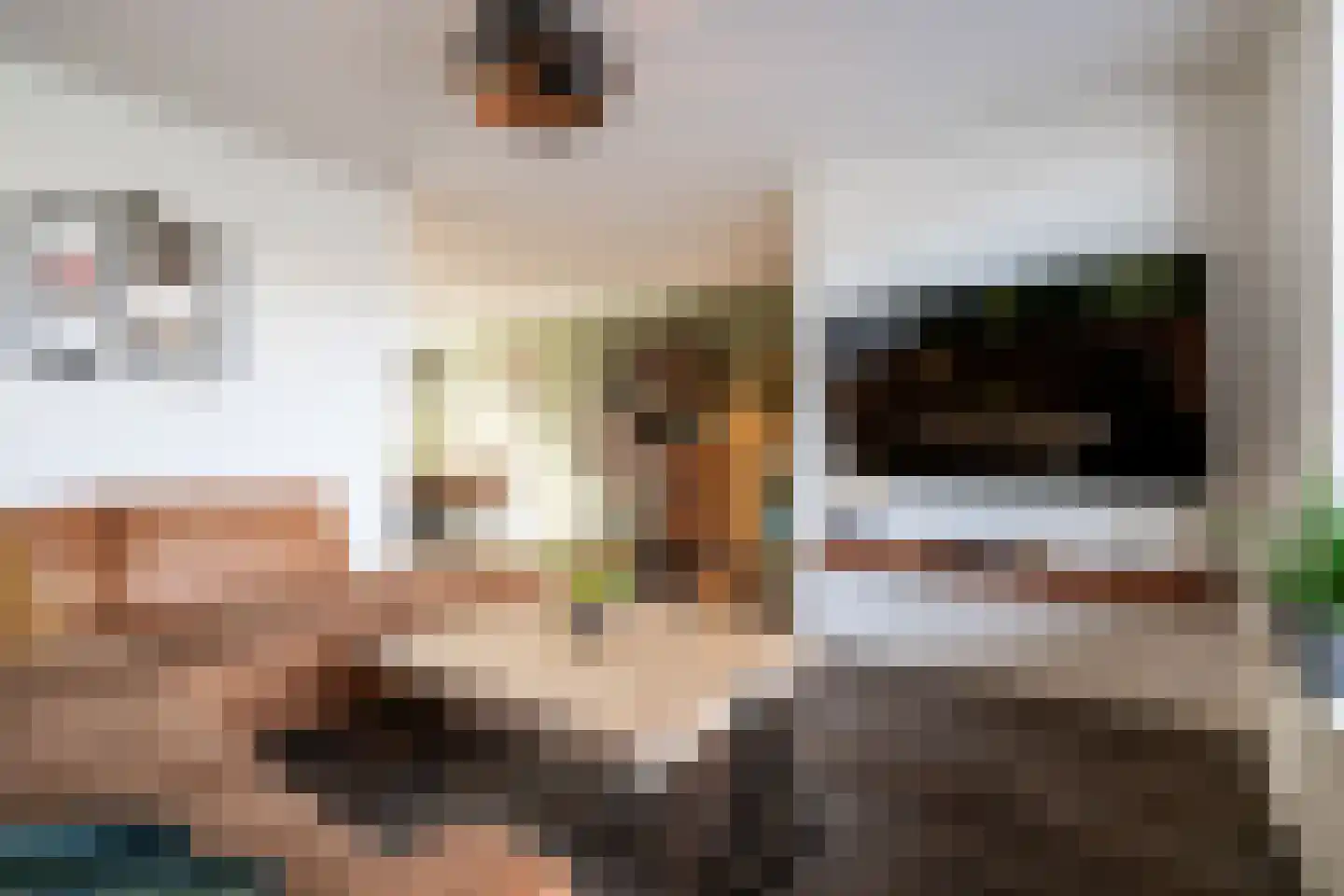 Hazenkamplaan 98 Oss thumbnail 8
