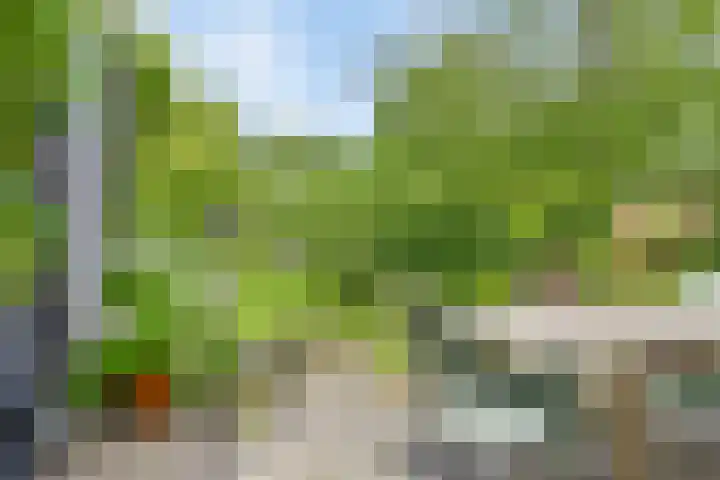 Hazenkampseweg 102 Nijmegen thumbnail 25