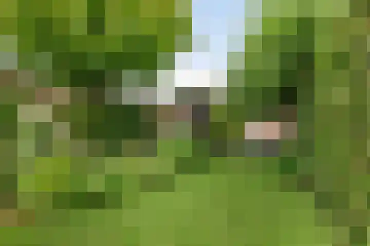 Hazenkampseweg 102 Nijmegen thumbnail 27