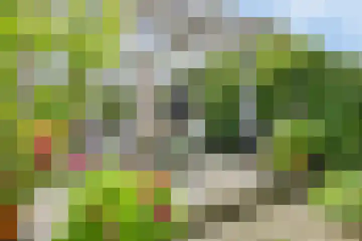 Hazenkampseweg 102 Nijmegen thumbnail 32