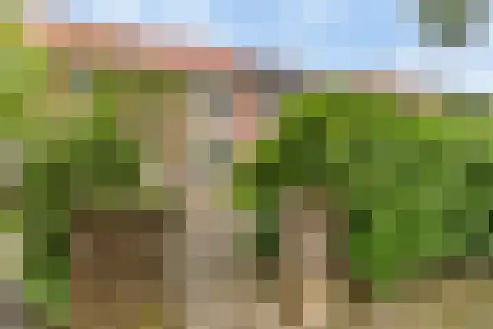 Hazenkampseweg 102 Nijmegen thumbnail 5