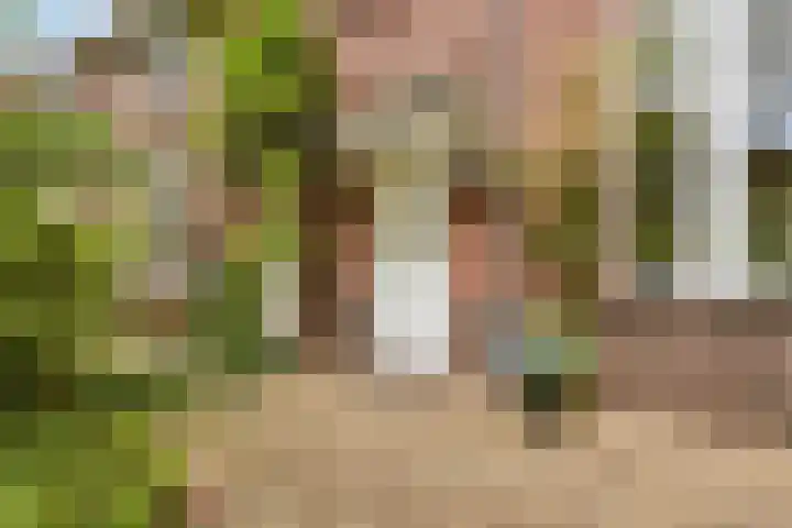 Hazenkampseweg 102 Nijmegen thumbnail 7