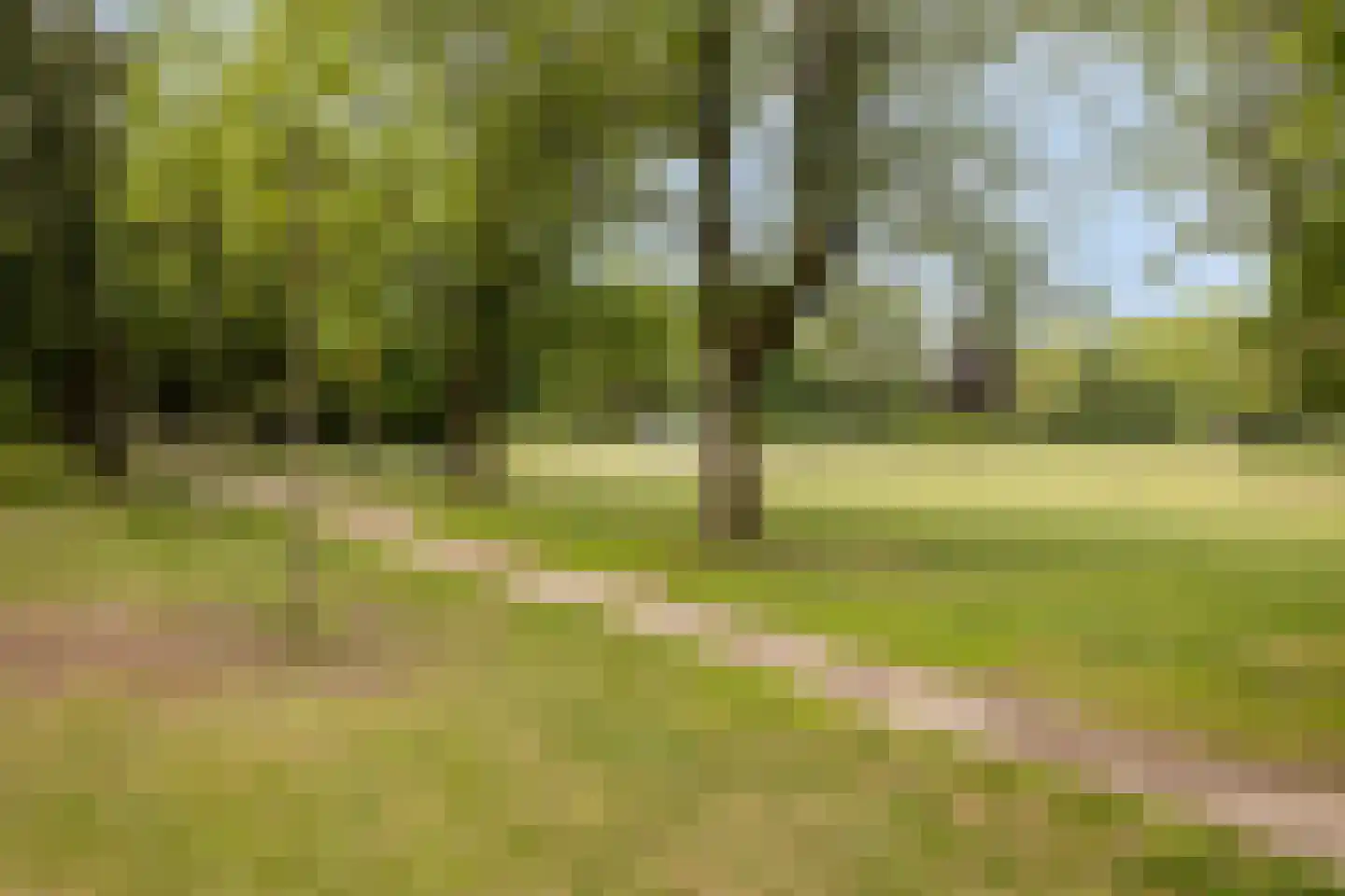 Hazenkampseweg 103 Nijmegen thumbnail 33