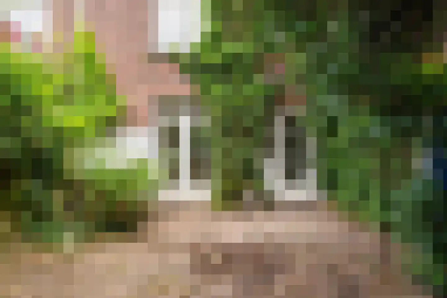 Hazenkampseweg 103 Nijmegen thumbnail 5