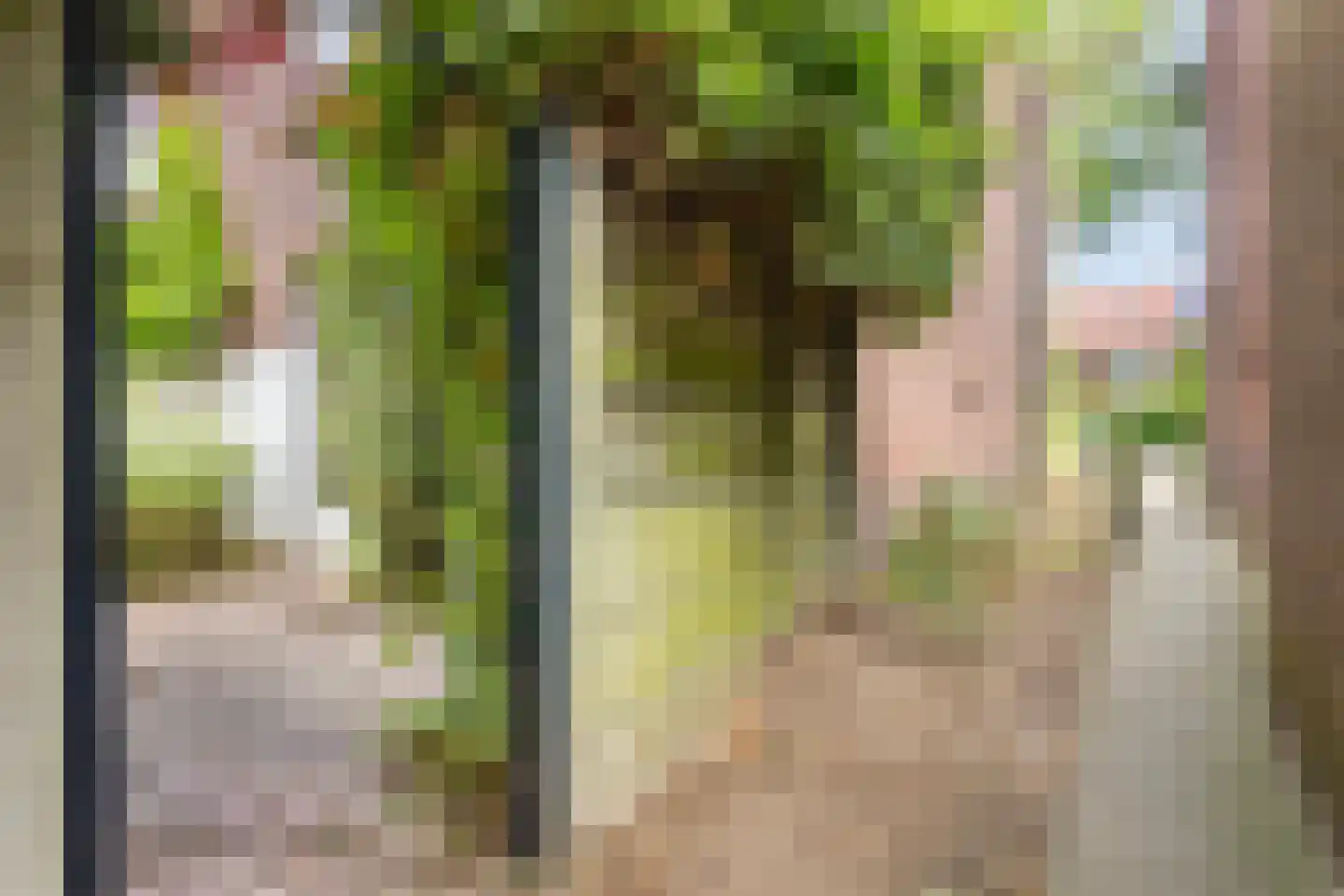 Hazenkampseweg 103 Nijmegen thumbnail 6