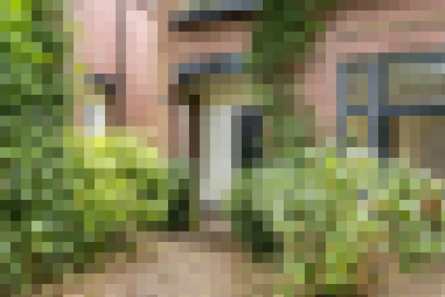 Hazenkampseweg 103 Nijmegen thumbnail 7