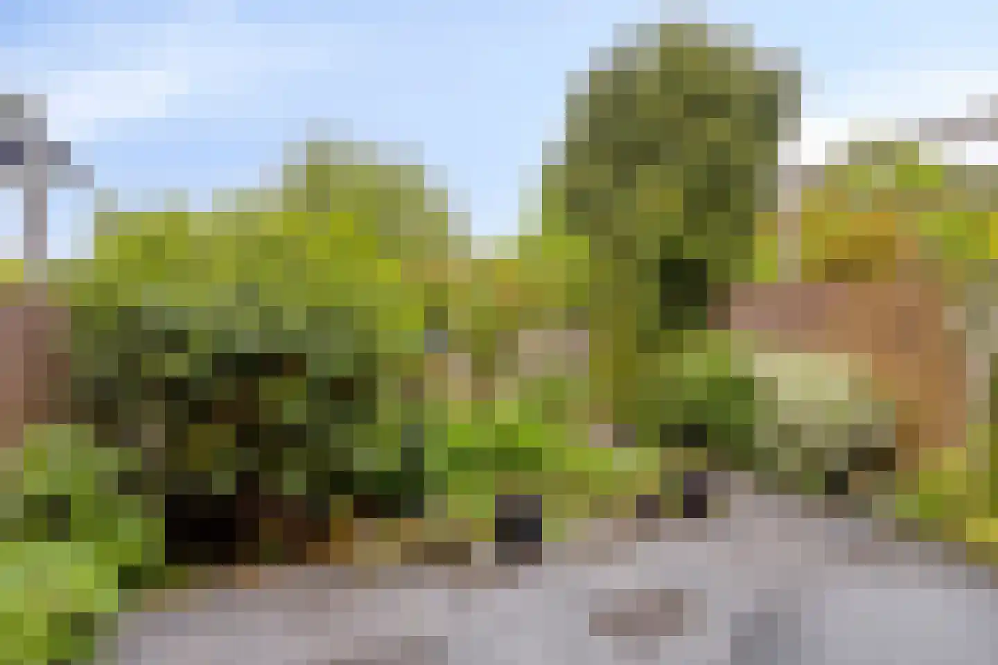 Hazenkampseweg 108 Nijmegen thumbnail 43