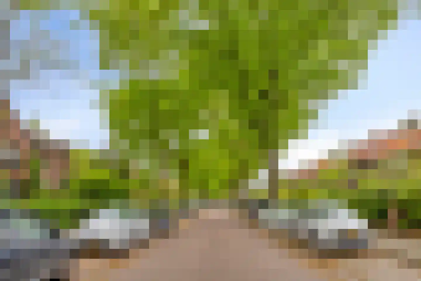 Hazenkampseweg 108 Nijmegen thumbnail 47
