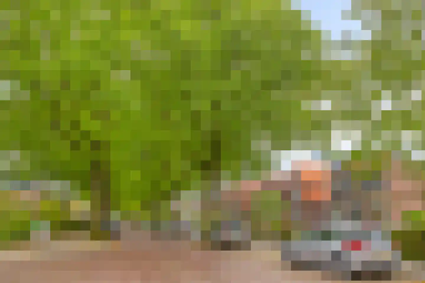 Hazenkampseweg 108 Nijmegen thumbnail 48