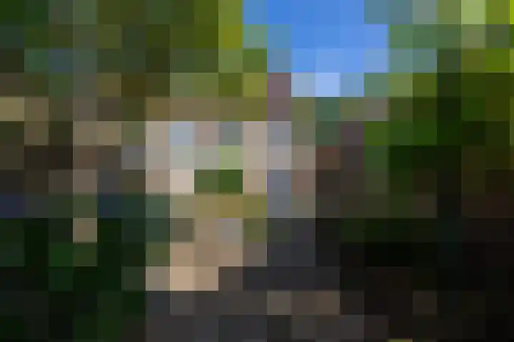 Hazenkampseweg 123 Nijmegen thumbnail 47