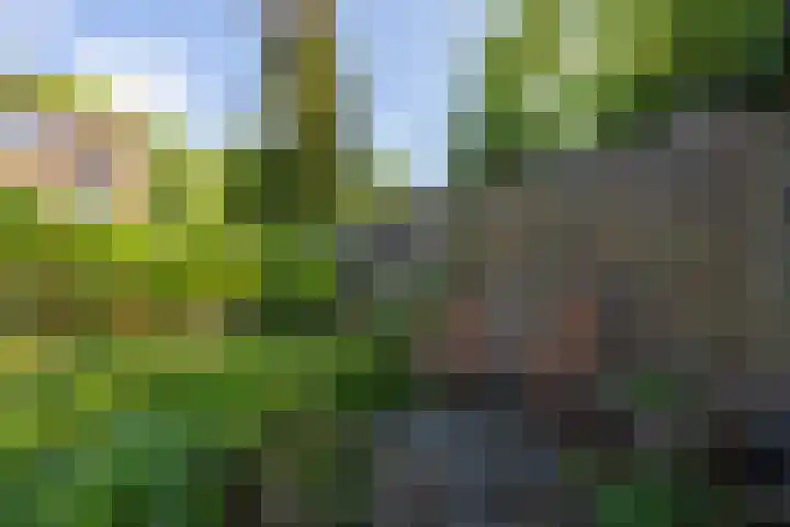 Hazenkampseweg 123 Nijmegen thumbnail 49