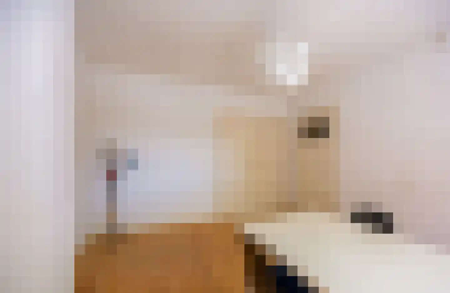 Hazenkampseweg 22 Nijmegen thumbnail 30