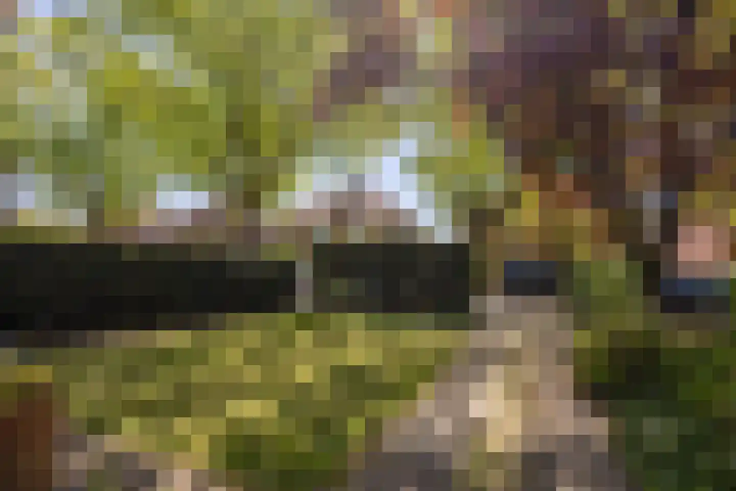 Hazenkampseweg 22 Nijmegen thumbnail 43