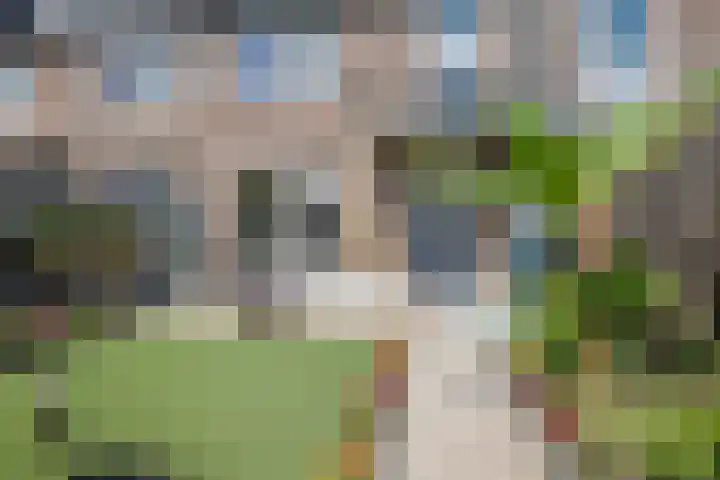Hazenkampseweg 287 Nijmegen thumbnail 37