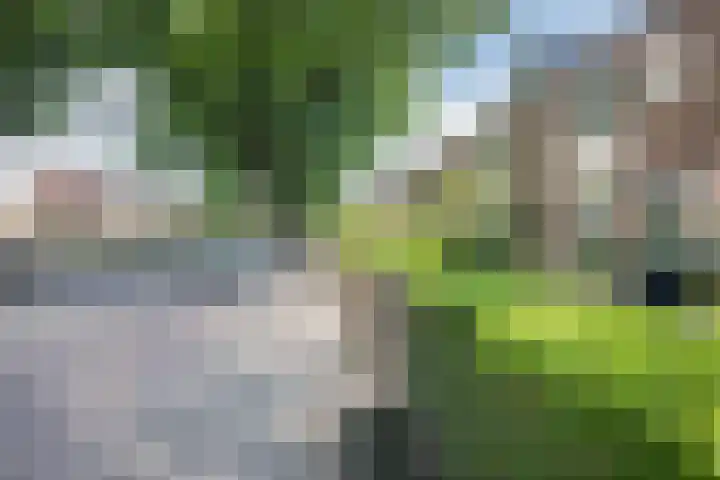 Hazenkampseweg 287 Nijmegen thumbnail 39