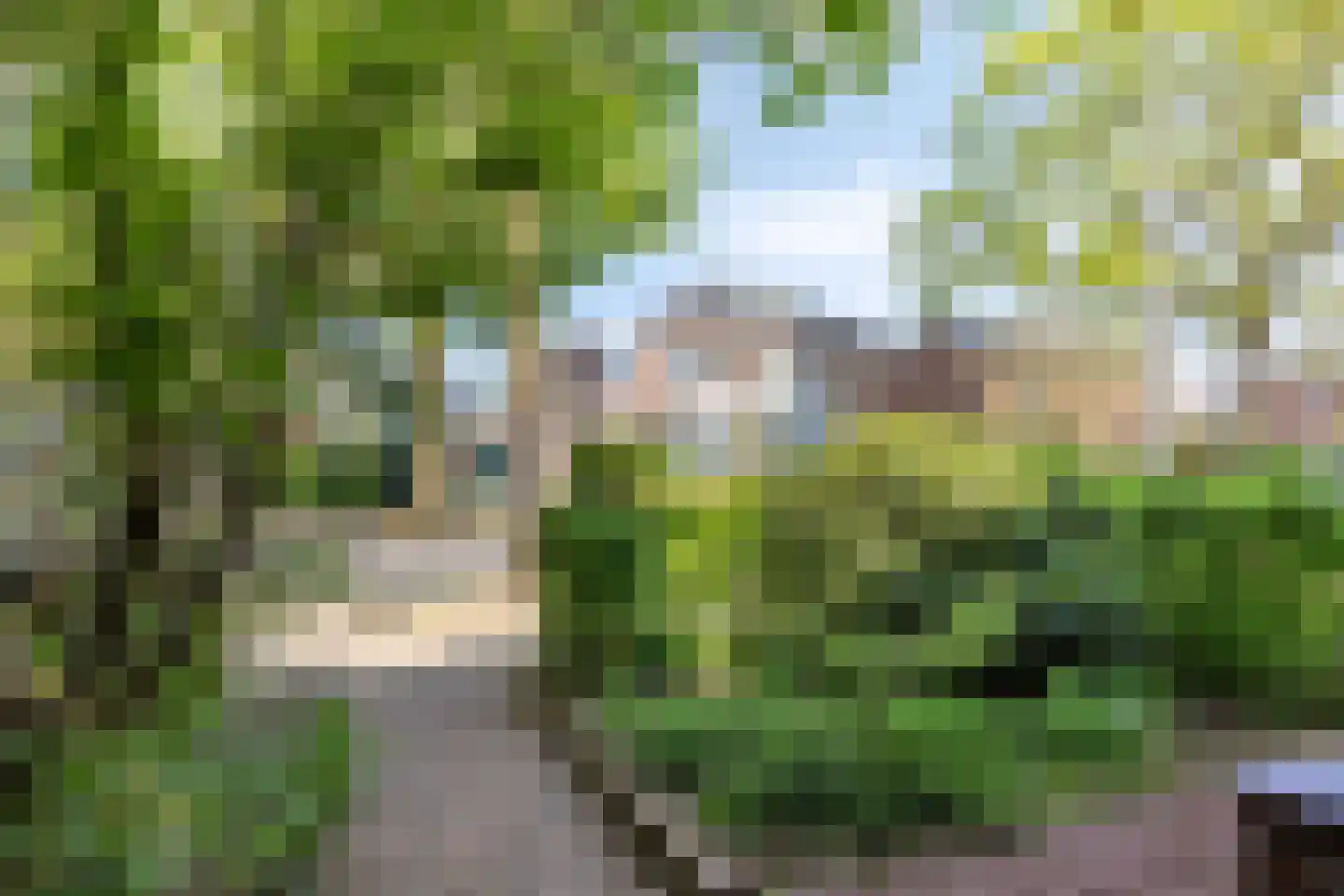 Hazenkampseweg 315 Nijmegen thumbnail 38