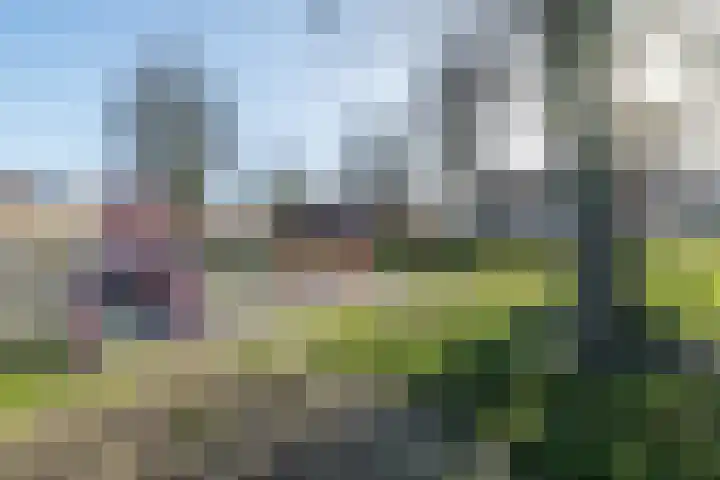 Hazenkampstraat 92 Brunssum thumbnail 48