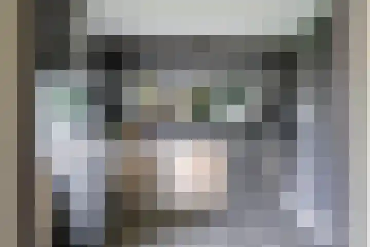 Hazenlaan 7 Doetinchem thumbnail 27