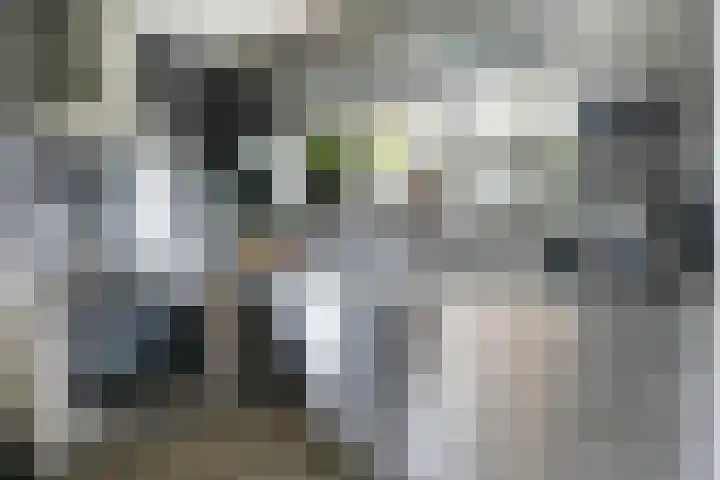 Hazenlaan 7 Doetinchem thumbnail 29