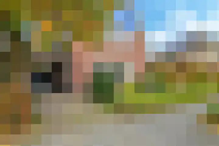 Hazenlaan 7 Doetinchem thumbnail 4
