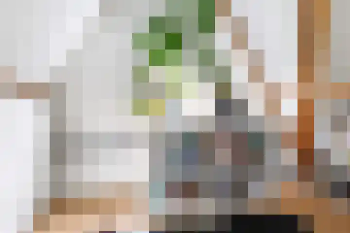 Hazenlaan 7 Doetinchem thumbnail 52