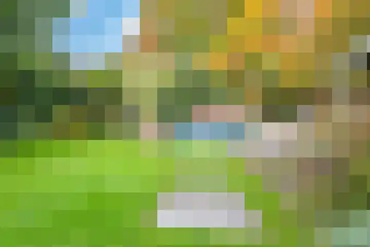 Hazenlaan 7 Doetinchem thumbnail 61