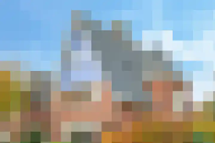 Hazenlaan 7 Doetinchem thumbnail 8