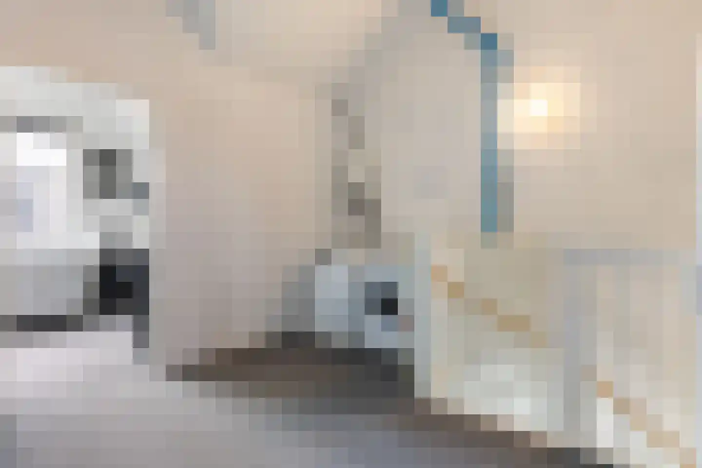 Hazenleger 15 Apeldoorn thumbnail 33