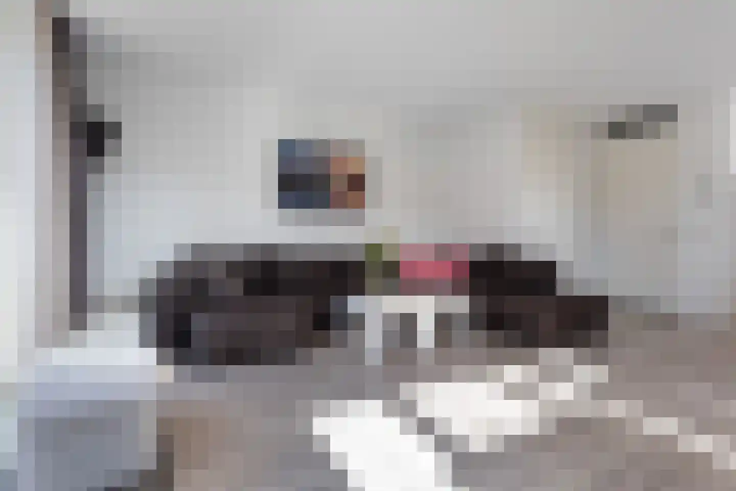 Hazenleger 15 Apeldoorn thumbnail 5