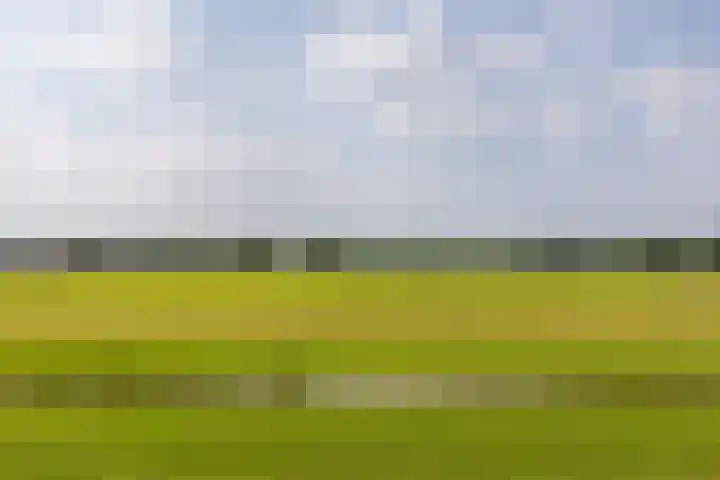 Hazenleger 29 Moordrecht thumbnail 48
