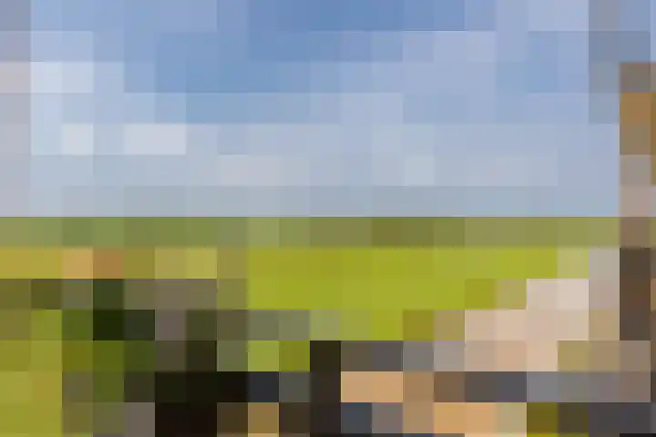 Hazenleger 29 Moordrecht thumbnail 49
