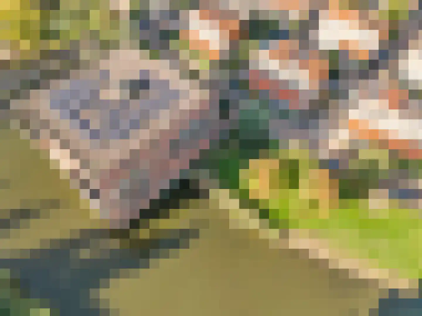 Hazenleger 30 Gorinchem thumbnail 33
